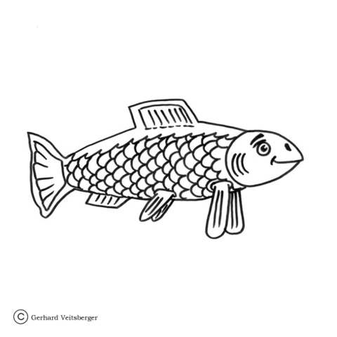 Salmon In The Sea  Coloring Page